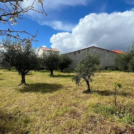 Refugio
